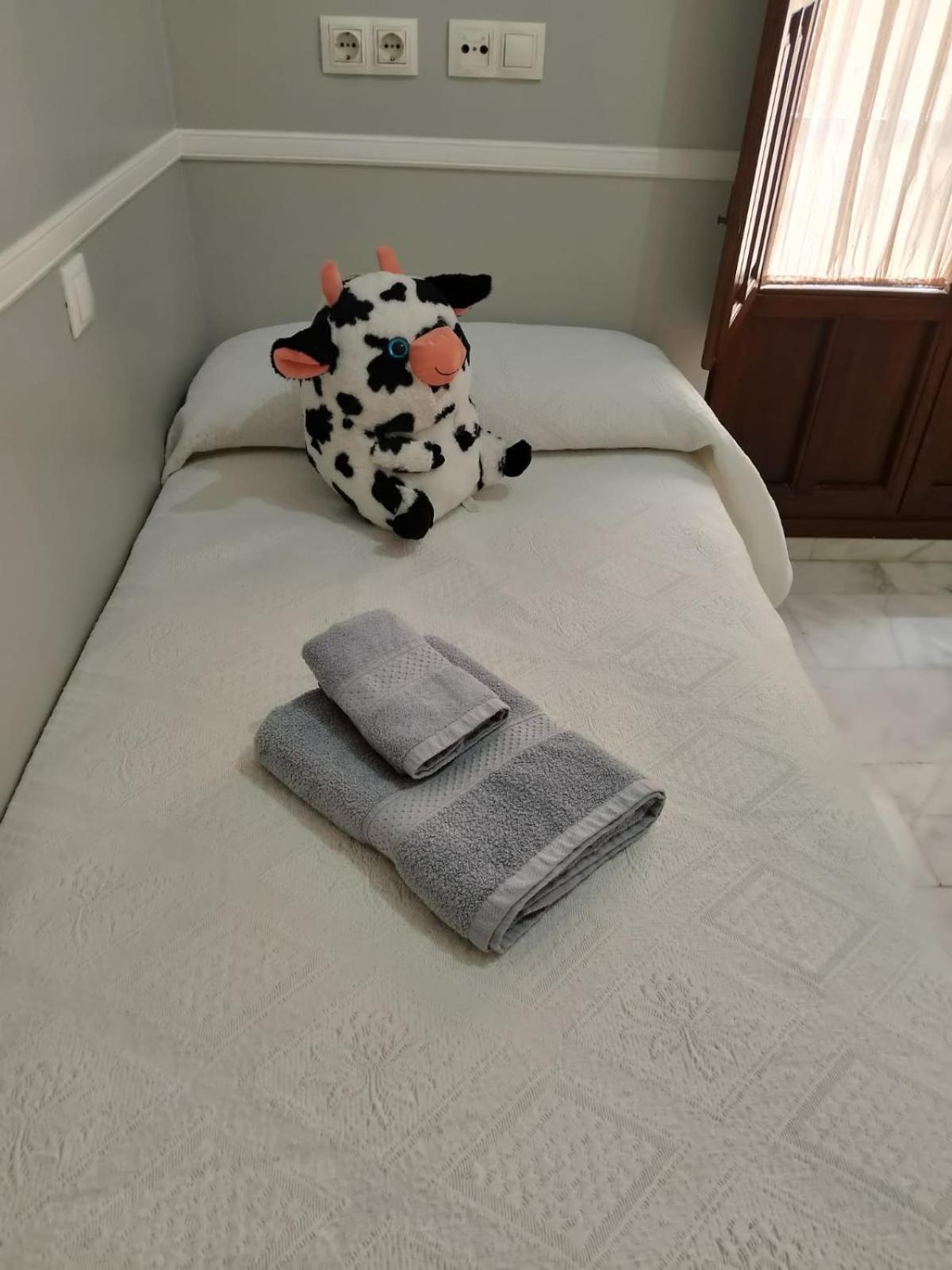 Casa Libelula Blanca Cordoba公寓 外观 照片
